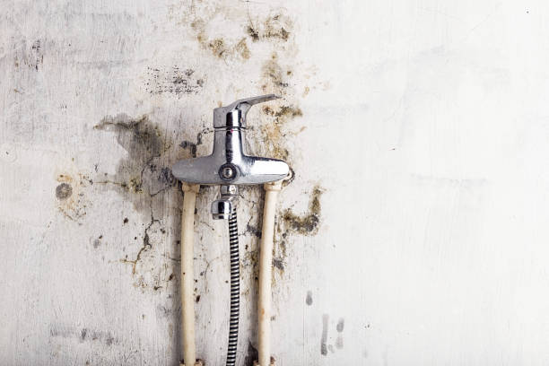 Best Mold Testing  in Huntingdon, TN