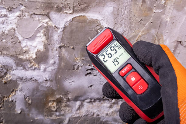 Best Local Mold Removal Service  in Huntingdon, TN