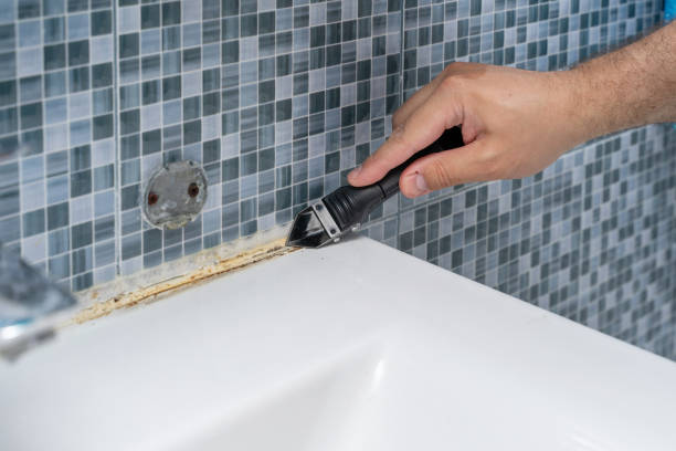 Best Same-Day Mold Removal  in Huntingdon, TN