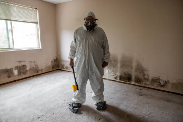Certified Mold Removal in Huntingdon, TN